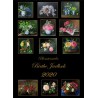 2020 Kalender med blomstermalerier